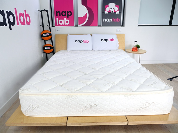 Sleep Ez Organic Latex